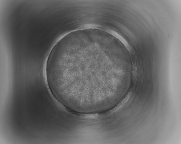 X0000100911055200807220946