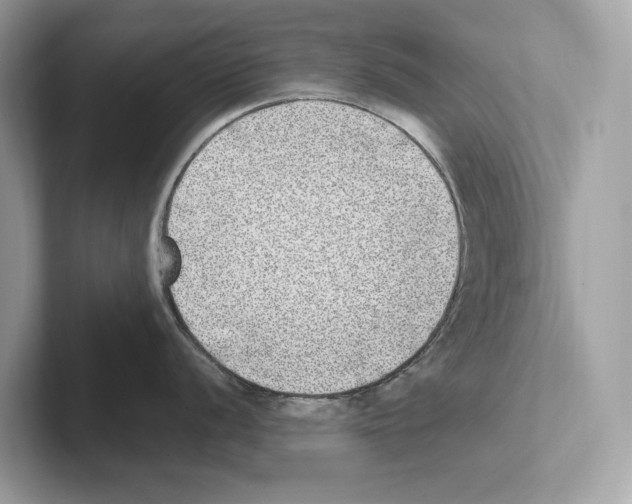 X0000100911056200807220946