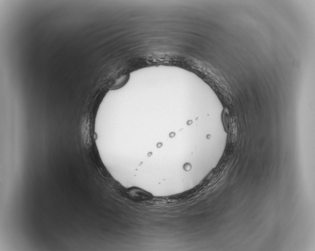 X0000100911060200807220946