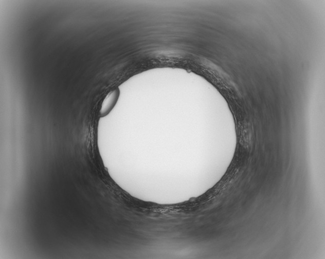 X0000100911061200807220946