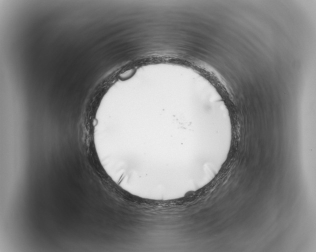 X0000100911064200807220946