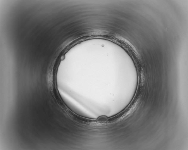 X0000100911065200807220946