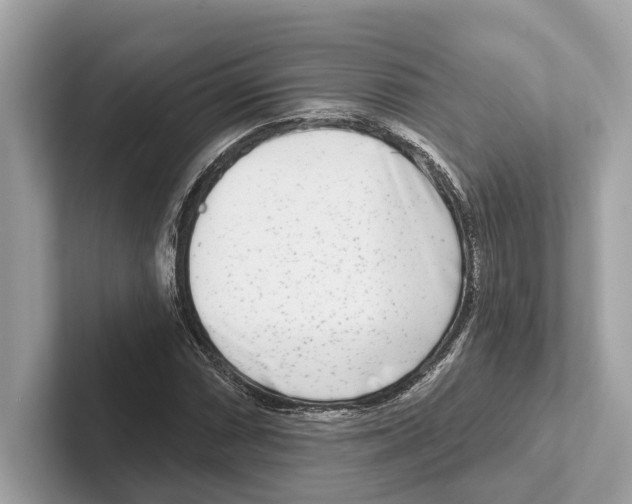 X0000100911066200807220946