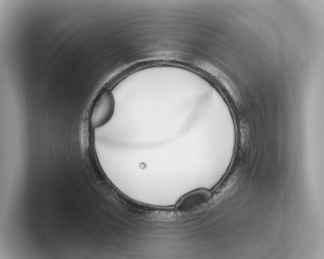 X0000100911069200807220946