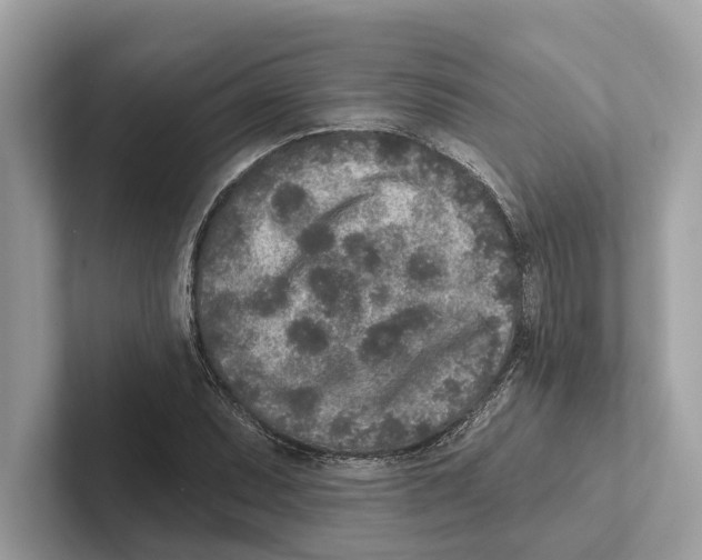 X0000100911071200807220946