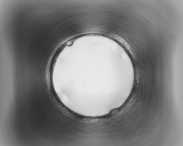 X0000100911072200807220946