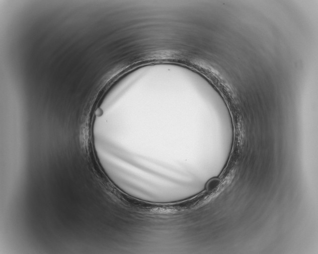 X0000100911073200807220946