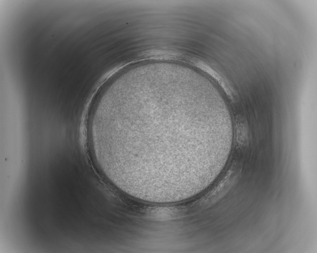 X0000100911074200807220946