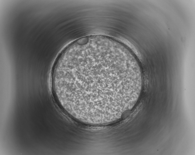 X0000100911076200807220946