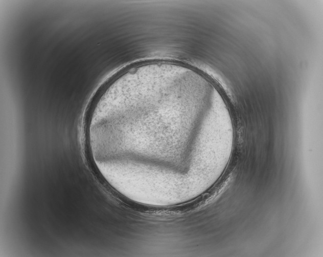 X0000100911077200807220946