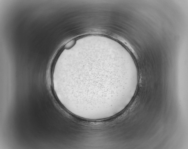 X0000100911080200807220946