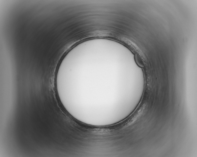 X0000100911081200807220946