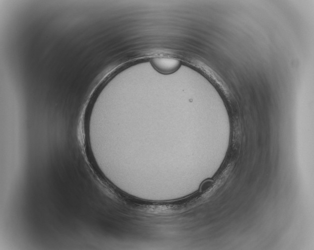 X0000100911082200807220946