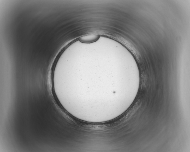 X0000100911084200807220945