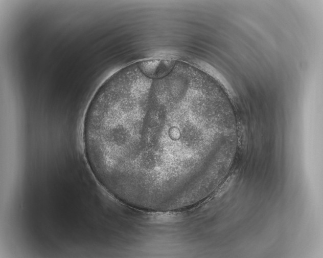 X0000100911087200807220945