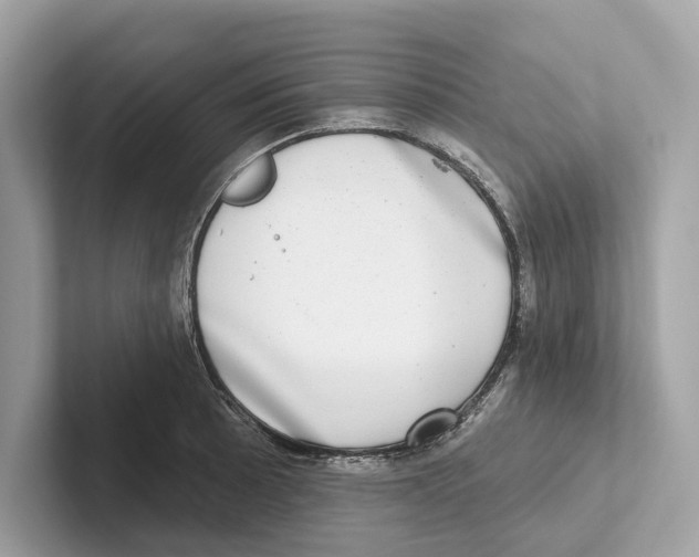 X0000100911089200807220945