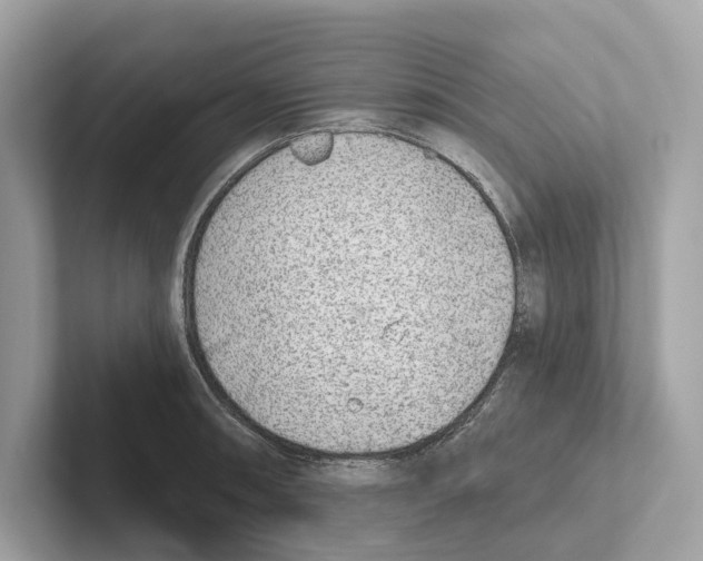 X0000100911090200807220945