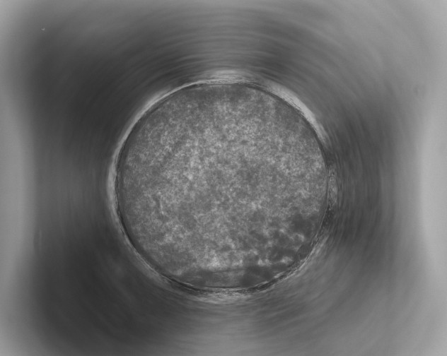 X0000100911091200807220945