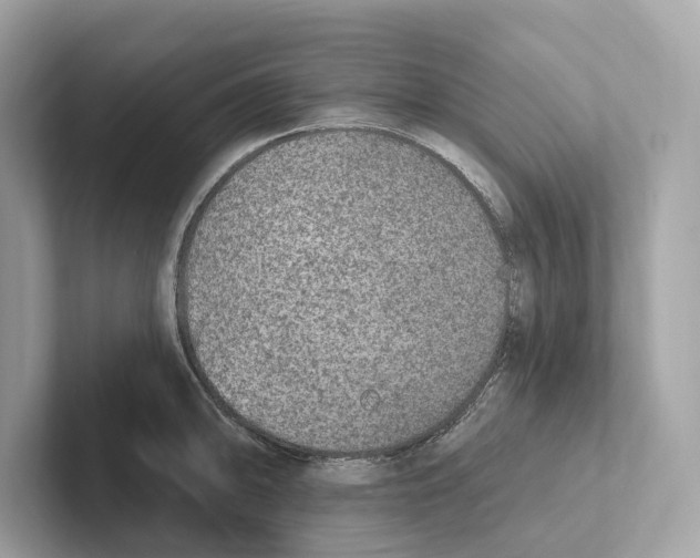 X0000100911094200807220945