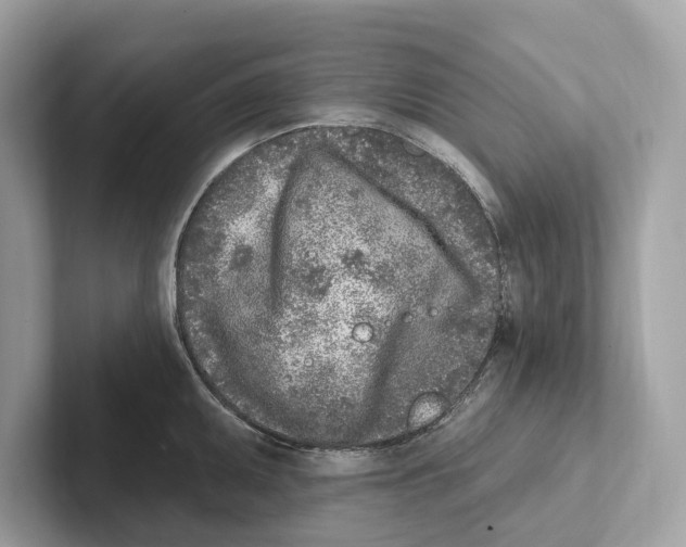 X0000100911095200807220945