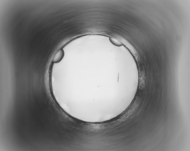 X0000100911096200807220945