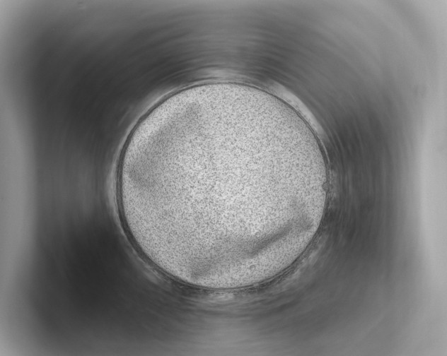 X0000100911098200807220945