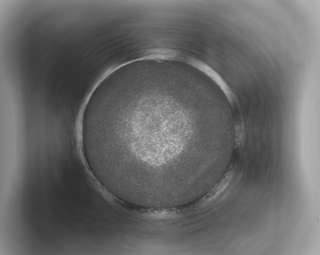 X0000100911099200807220945