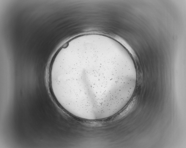 X0000100911101200807220945