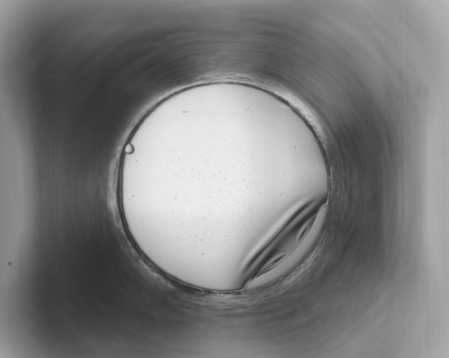 X0000100911102200807220945