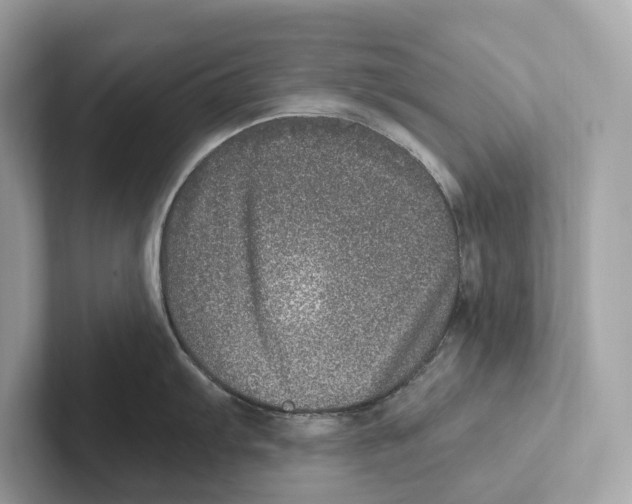 X0000100911103200807220945