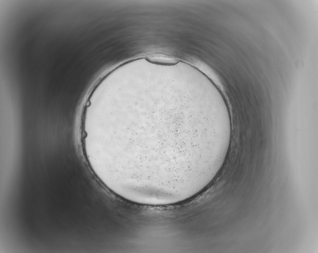 X0000100911104200807220945