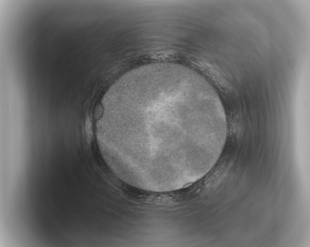 X0000100911106200807220945