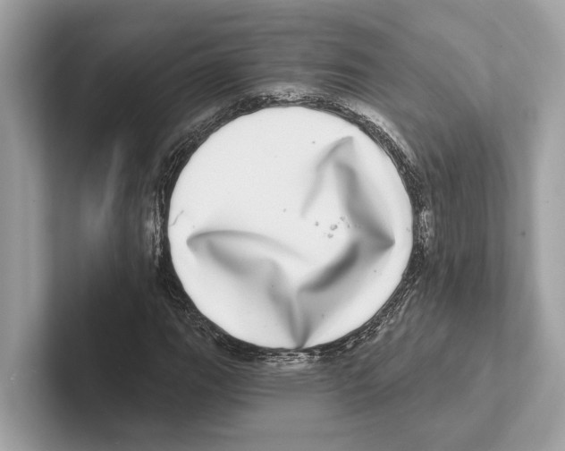 X0000100911111200807220945