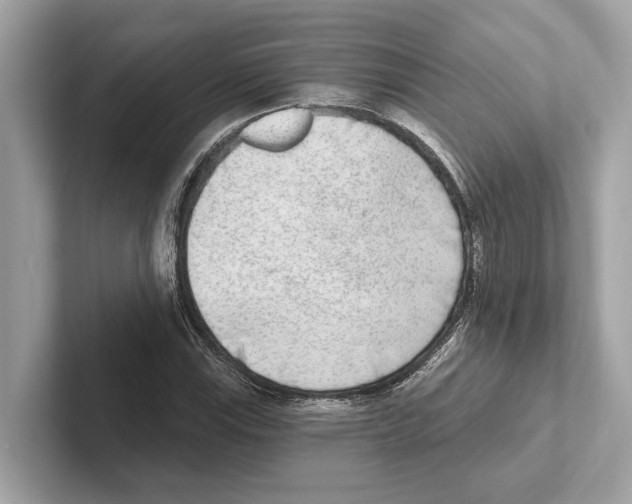 X0000100911115200807220945