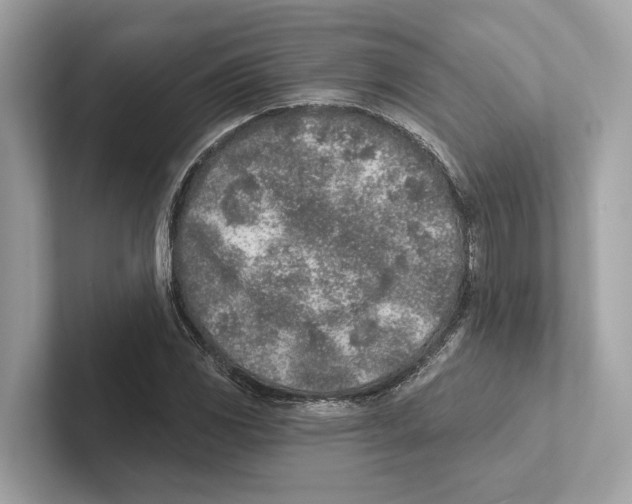 X0000100911117200807220945