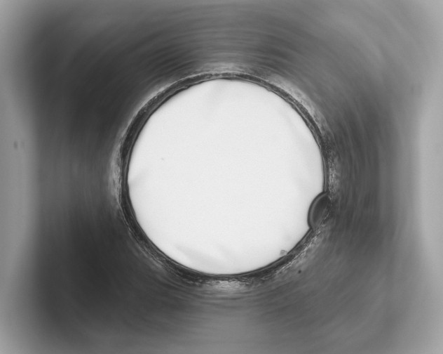 X0000100911119200807220945