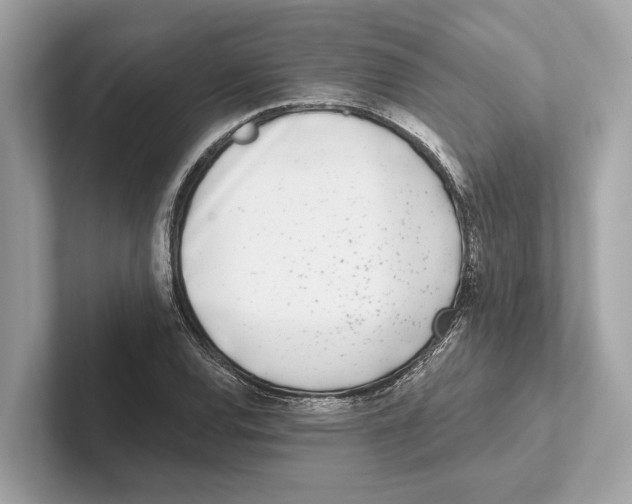 X0000100911120200807220945