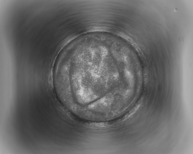 X0000100911121200807220945