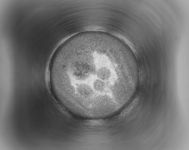 X0000100911125200807220945