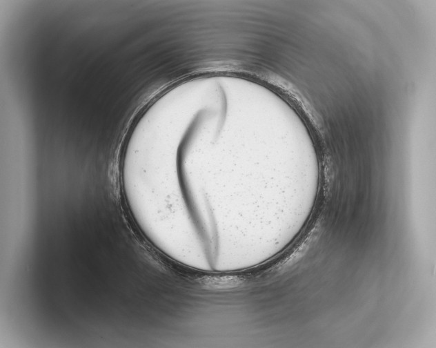 X0000100911129200807220945