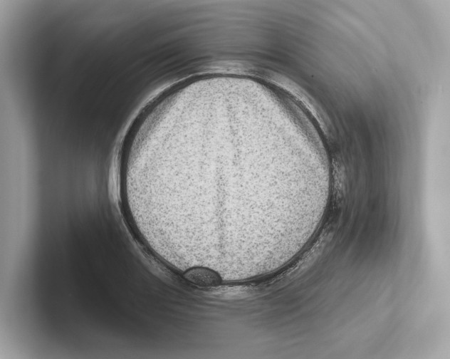 X0000100911131200807220945