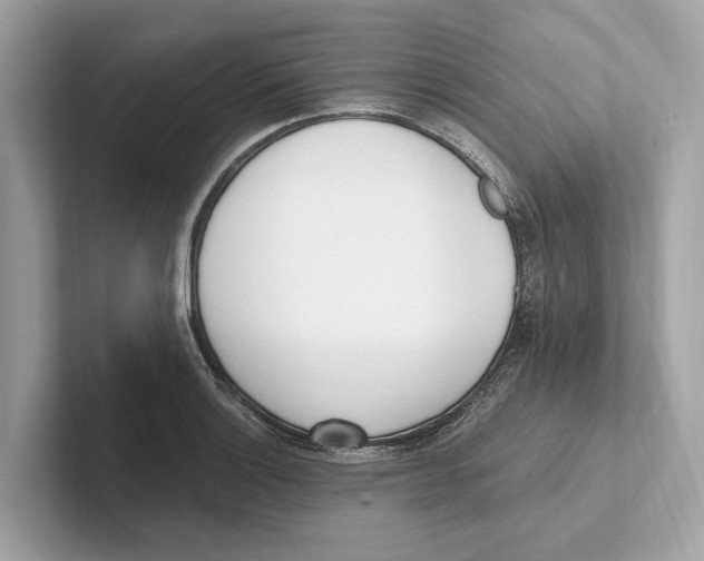 X0000100911132200807220945