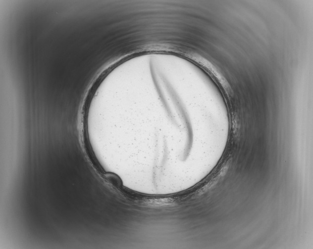 X0000100911133200807220945