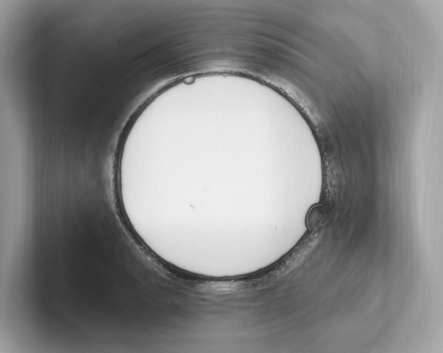 X0000100911134200807220945