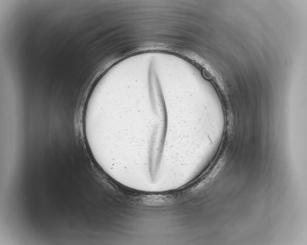 X0000100911137200807220945