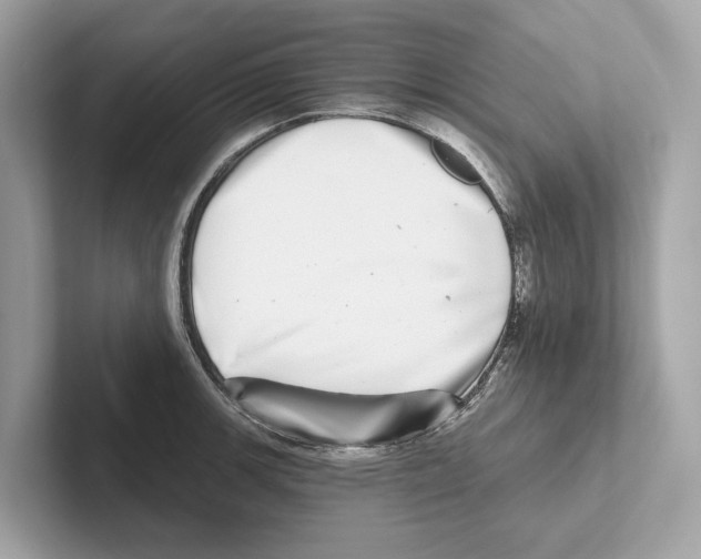 X0000100911139200807220945