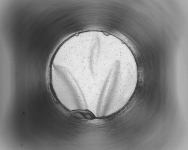 X0000100911140200807220945