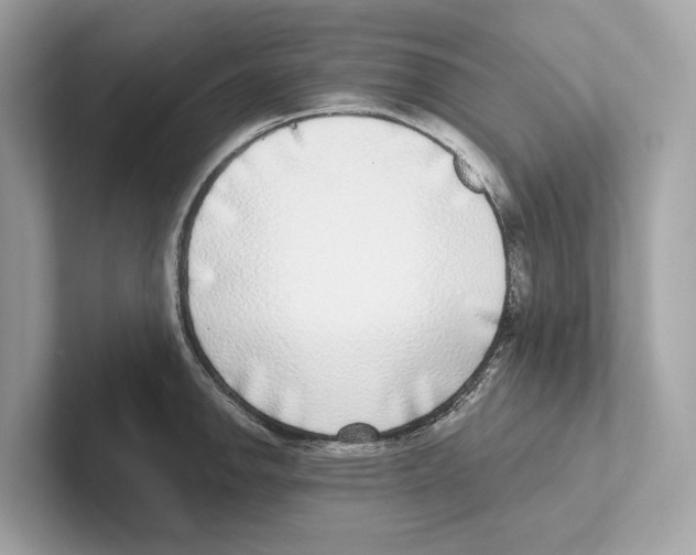 X0000100911142200807220945