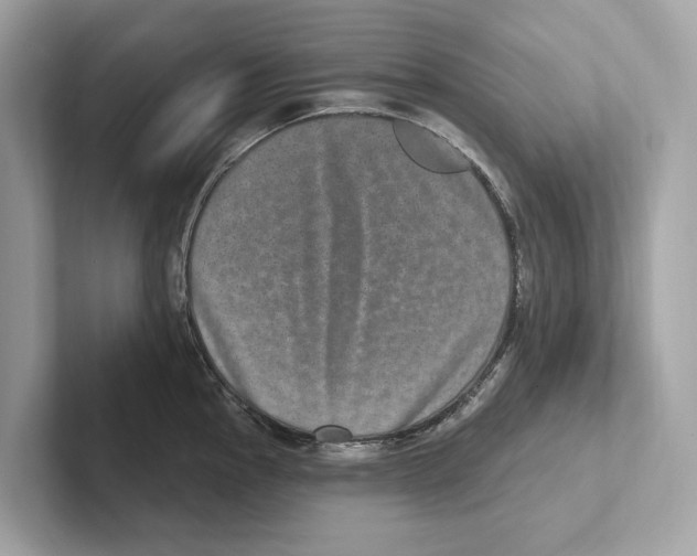 X0000100911145200807220945