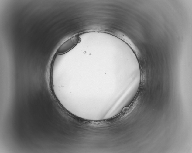 X0000100911146200807220945